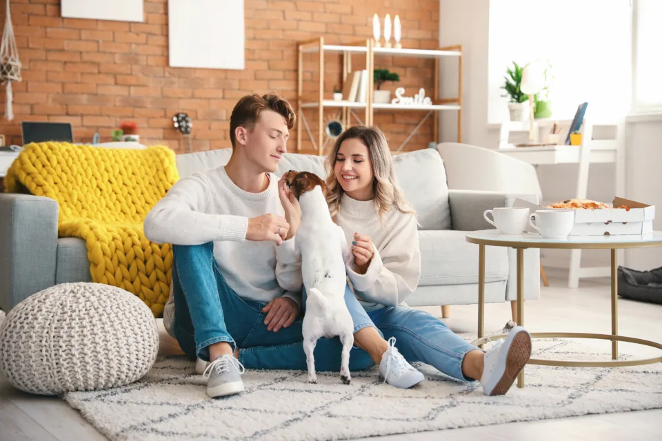 Editorial lifestyle photograph for choosing washable fabrics for pet homes.